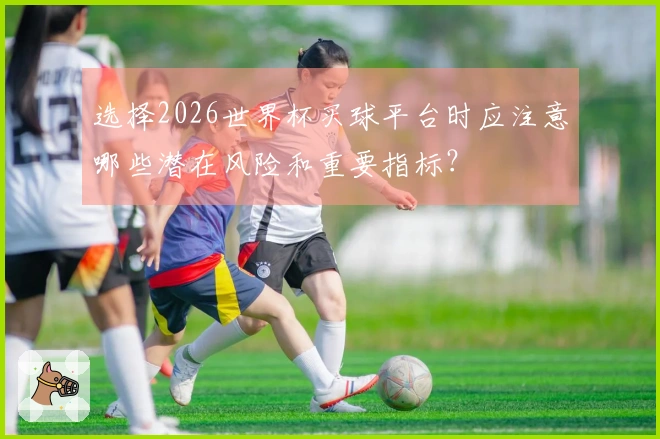 选择2026世界杯买球平台时应注意哪些潜在风险和重要指标？