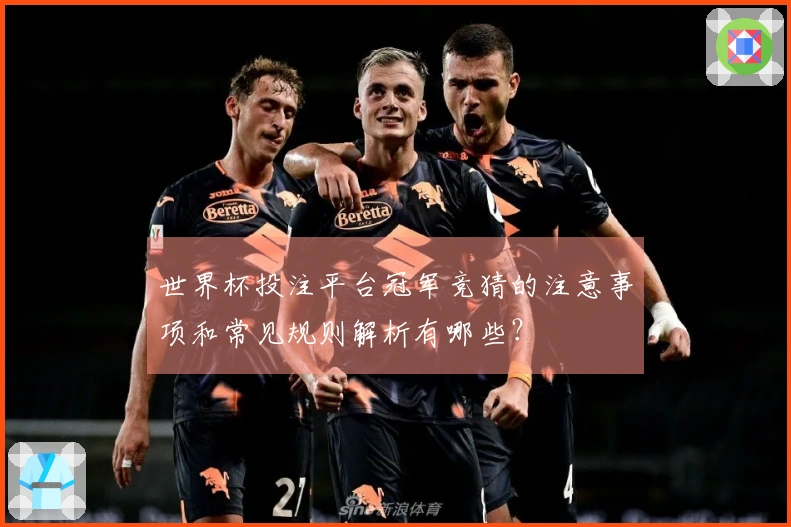 世界杯投注平台冠军竞猜的注意事项和常见规则解析有哪些？