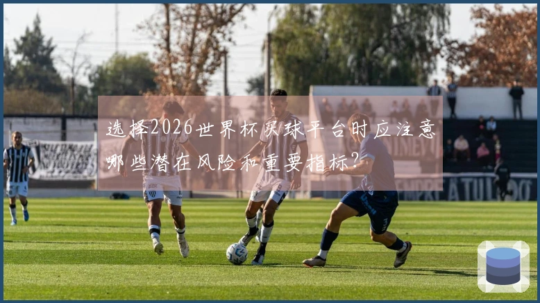选择2026世界杯买球平台时应注意哪些潜在风险和重要指标?