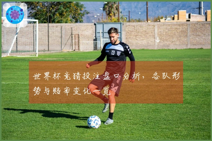 世界杯竞猜投注盘口分析，各队形势与赔率变化一览