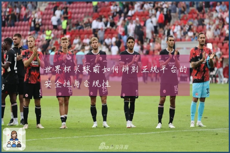 世界杯买球前如何辨别正规平台的安全性与合规性