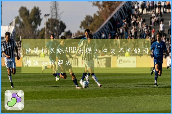 世界杯买球APP出现入口打不开的问题该如何解决