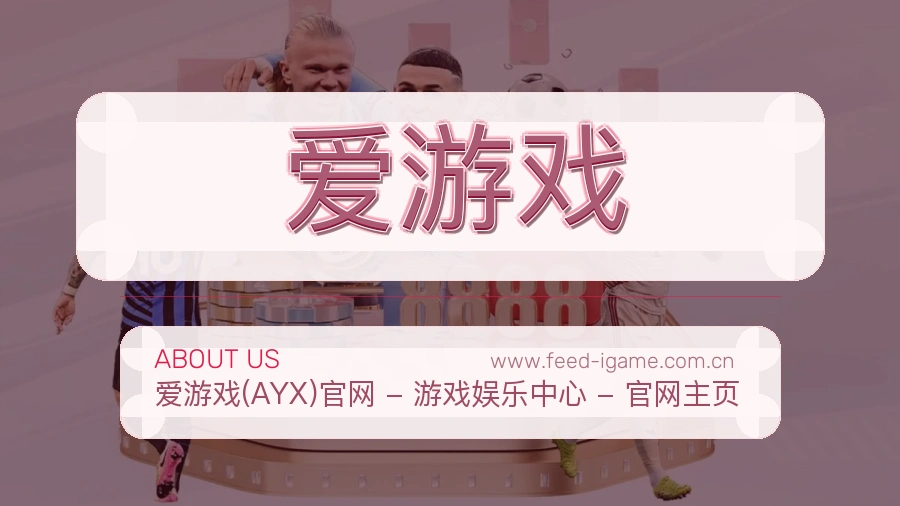 关于 爱游戏